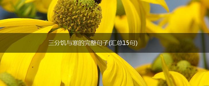 三分饥与寒的完整句子(汇总15句),第1张