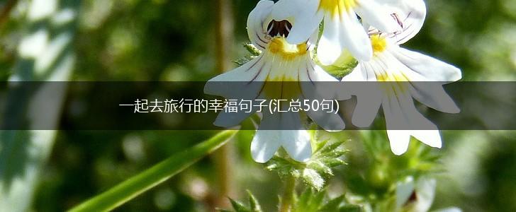 一起去旅行的幸福句子(汇总50句),第1张