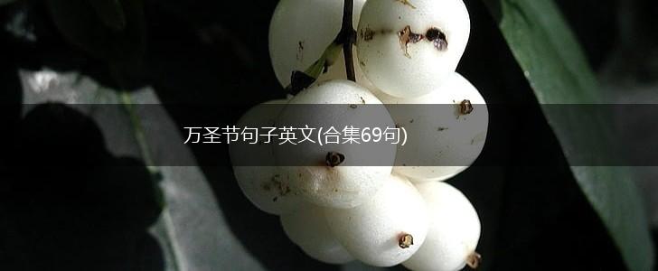 万圣节句子英文(合集69句),第1张
