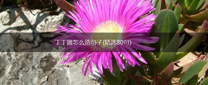 丁丁器怎么造句子(精选80句),第1张