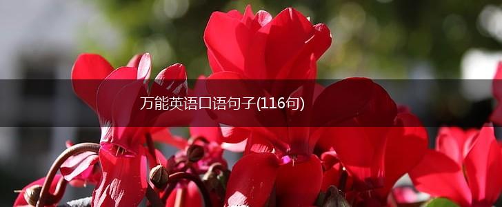 万能英语口语句子(116句),第1张