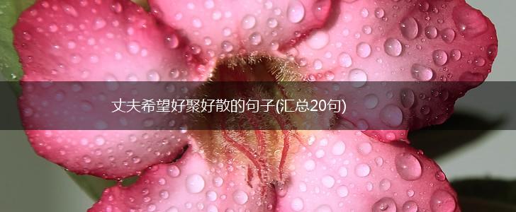 丈夫希望好聚好散的句子(汇总20句),第1张
