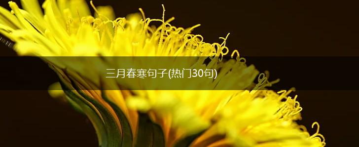 三月春寒句子(热门30句),第1张