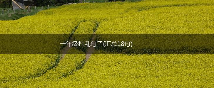 一年级打乱句子(汇总18句),第1张