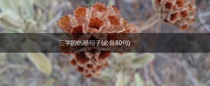 三字的伤感句子(必备60句),第1张