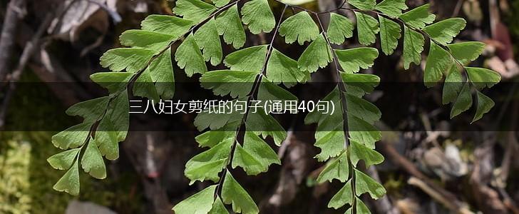 三八妇女剪纸的句子(通用40句),第1张
