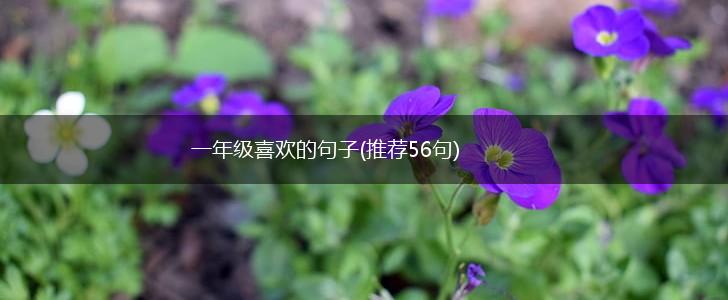 一年级喜欢的句子(推荐56句),第1张
