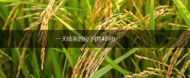 一天结束的句子(共40句),第1张