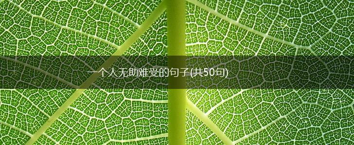 一个人无助难受的句子(共50句),第1张