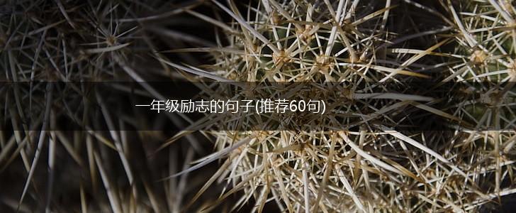 一年级励志的句子(推荐60句),第1张