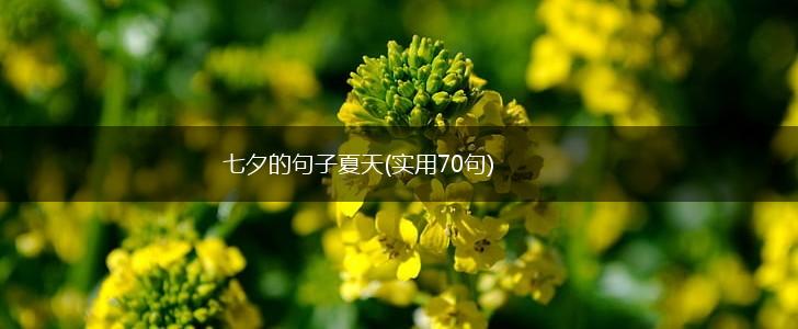七夕的句子夏天(实用70句),第1张