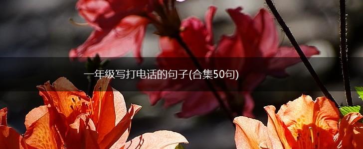 一年级写打电话的句子(合集50句),第1张