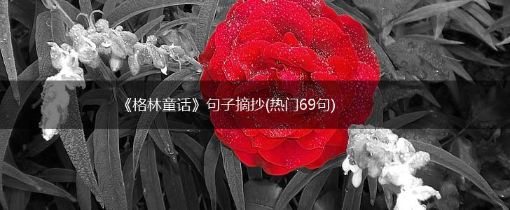 《格林童话》句子摘抄(热门69句),第1张