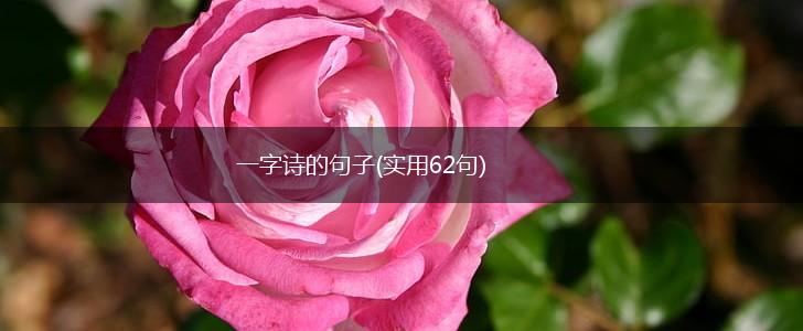 一字诗的句子(实用62句),第1张
