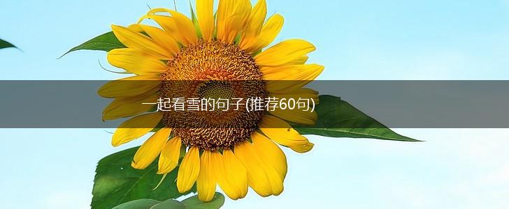 一起看雪的句子(推荐60句),第1张