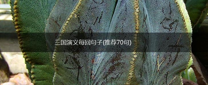 三国演义每回句子(推荐70句),第1张
