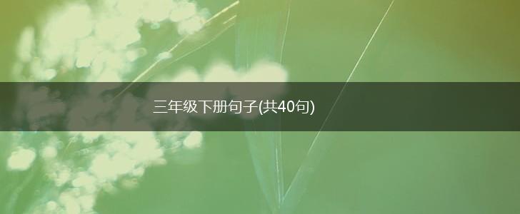 三年级下册句子(共40句),第1张