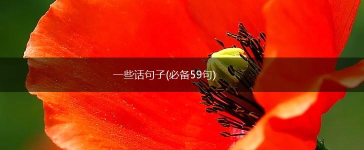 一些话句子(必备59句),第1张