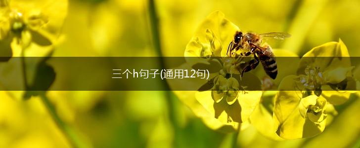 三个h句子(通用12句),第1张