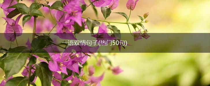 一语双情句子(热门50句),第1张