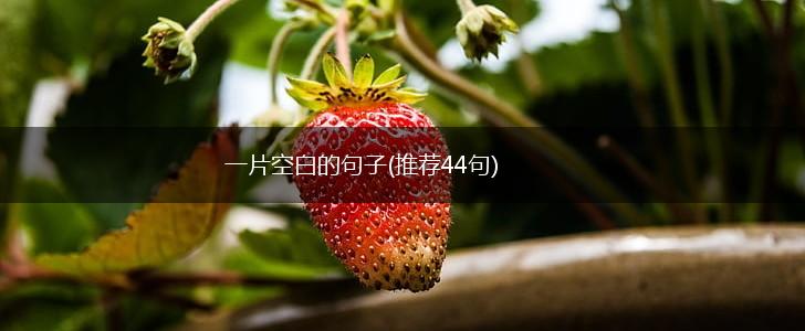 一片空白的句子(推荐44句),第1张