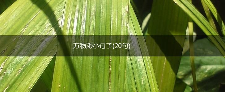万物渺小句子(20句),第1张