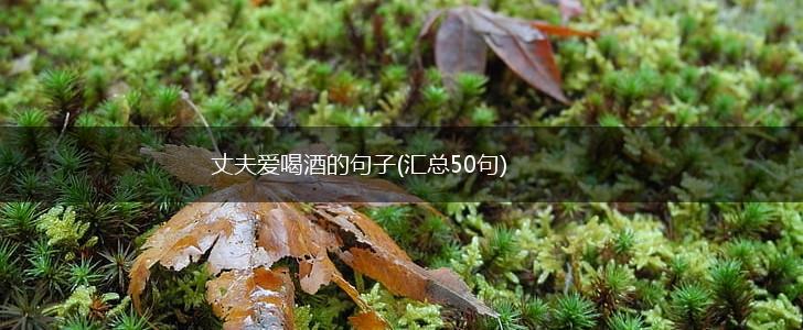 丈夫爱喝酒的句子(汇总50句),第1张
