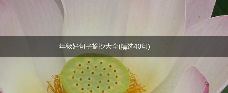 一年级好句子摘抄大全(精选40句),第1张