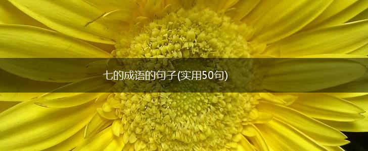 七的成语的句子(实用50句),第1张