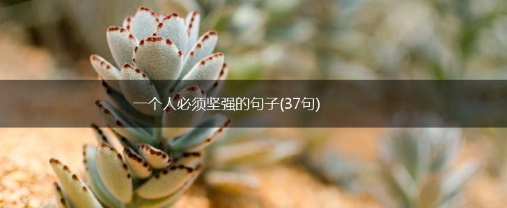 一个人必须坚强的句子(37句),第1张
