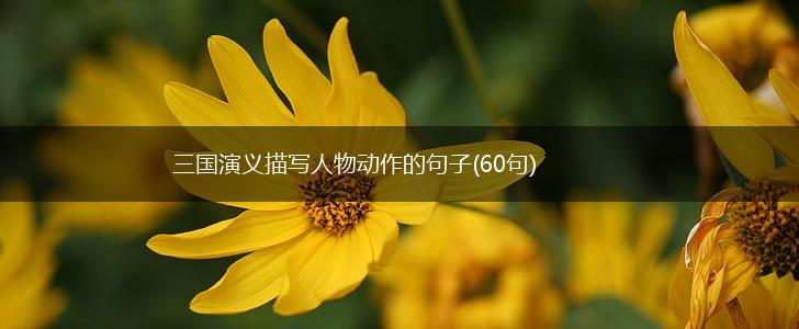 三国演义描写人物动作的句子(60句),第1张
