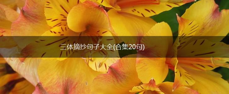 三体摘抄句子大全(合集20句),第1张