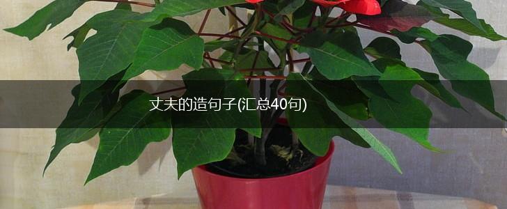 丈夫的造句子(汇总40句),第1张