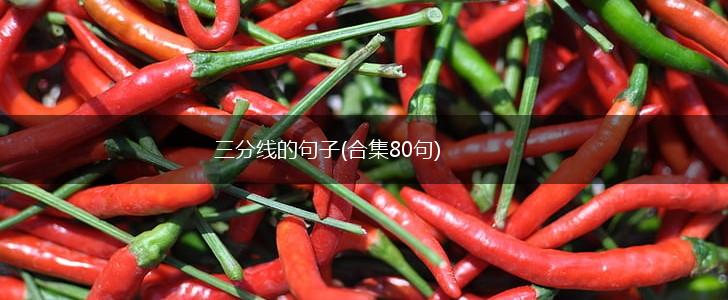三分线的句子(合集80句),第1张