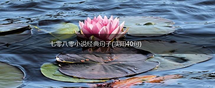 七零八零小说经典句子(实用40句),第1张