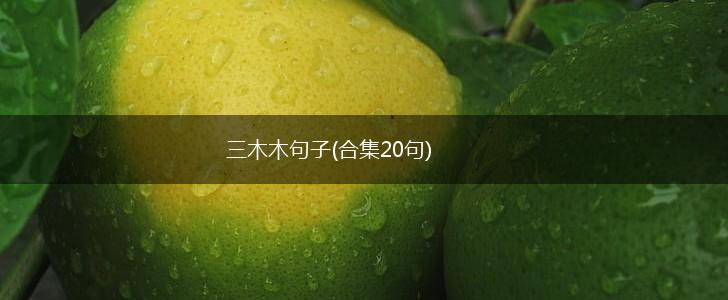 三木木句子(合集20句),第1张