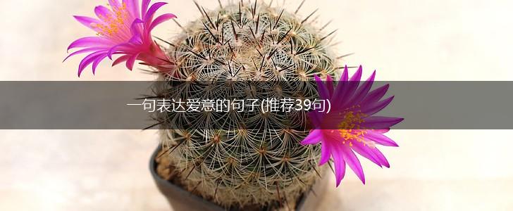 一句表达爱意的句子(推荐39句),第1张