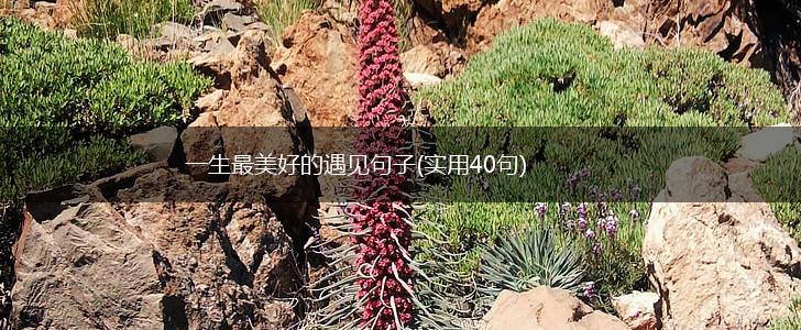 一生最美好的遇见句子(实用40句),第1张