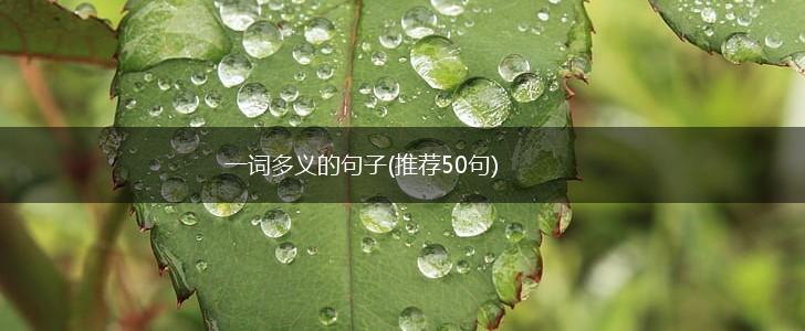 一词多义的句子(推荐50句),第1张
