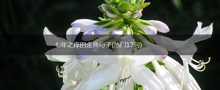 七年之痒的金典句子(热门17句),第1张