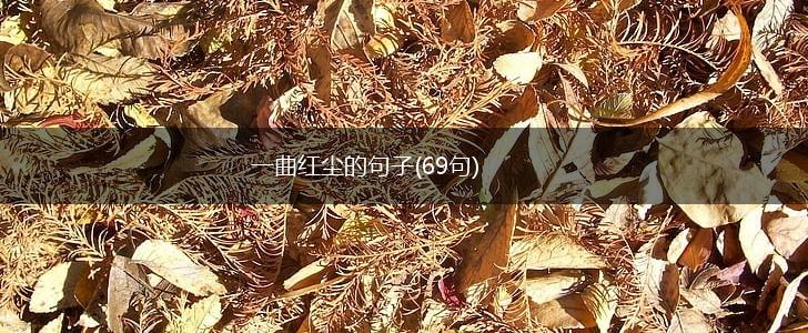 一曲红尘的句子(69句),第1张