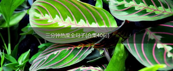 三分钟热度全句子(合集40句),第1张