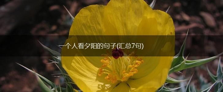 一个人看夕阳的句子(汇总7句),第1张