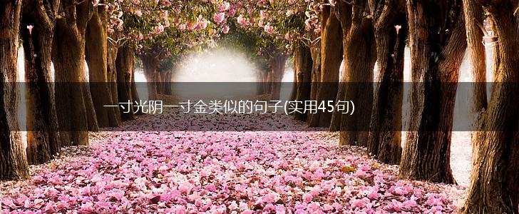 一寸光阴一寸金类似的句子(实用45句),第1张
