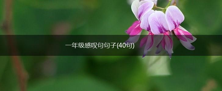 一年级感叹句句子(40句),第1张