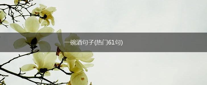一碗酒句子(热门61句),第1张
