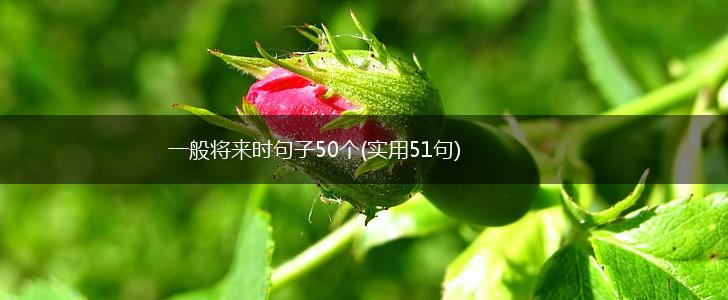 一般将来时句子50个(实用51句),第1张