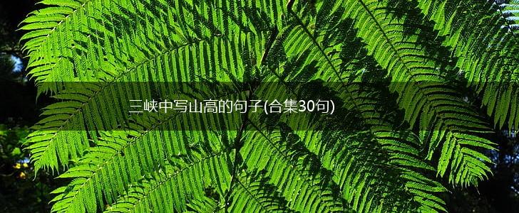 三峡中写山高的句子(合集30句),第1张
