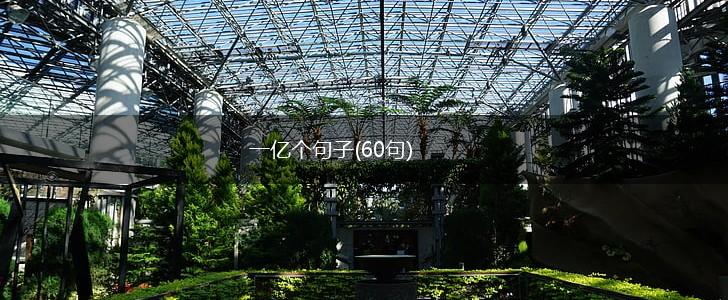 一亿个句子(60句),第1张