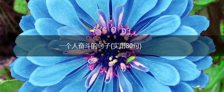 一个人奋斗的句子(实用80句),第1张